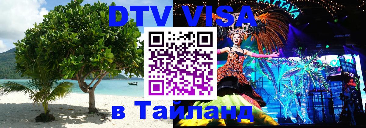 Оформление DTV визы под ключ: стоимость и тарифы, только загранпаспорт - 07.12.2025 